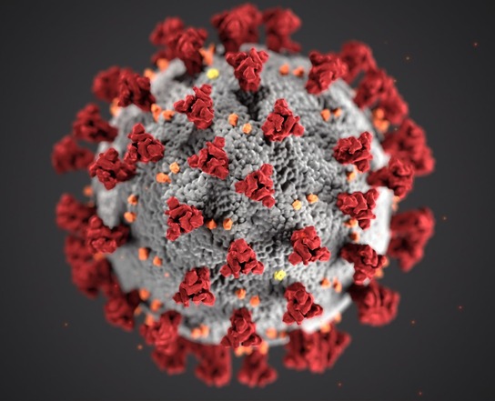 Bild von einem Virus